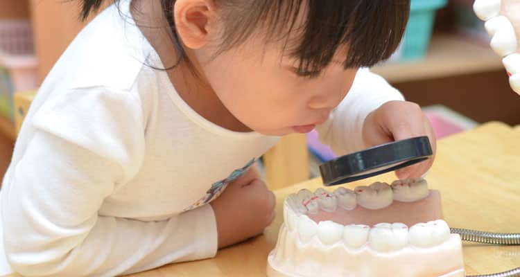 Comparación entre los métodos Demirjian y Nolla para la estimación de edad dental y un estudio individualizado en niños mexicanos de 6 a 14 años de edad 