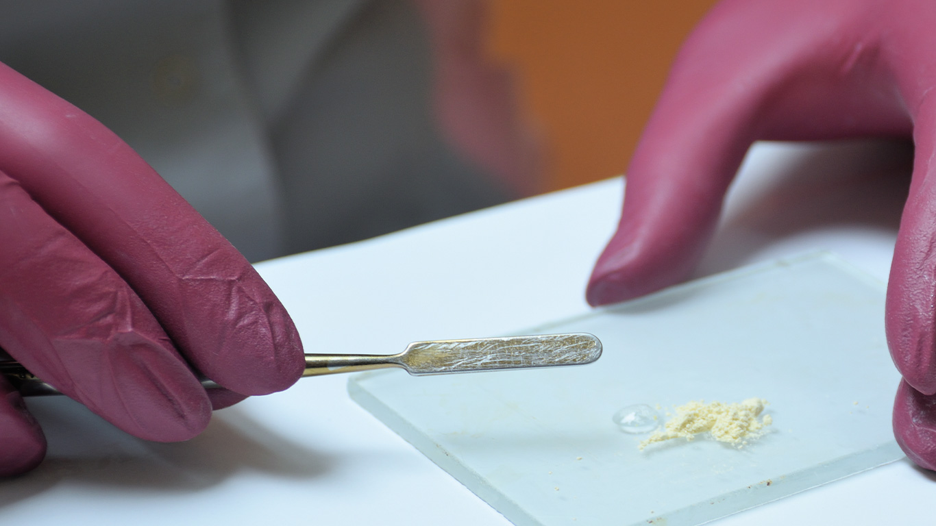 Materiales de injerto y su aplicación en odontología.
 